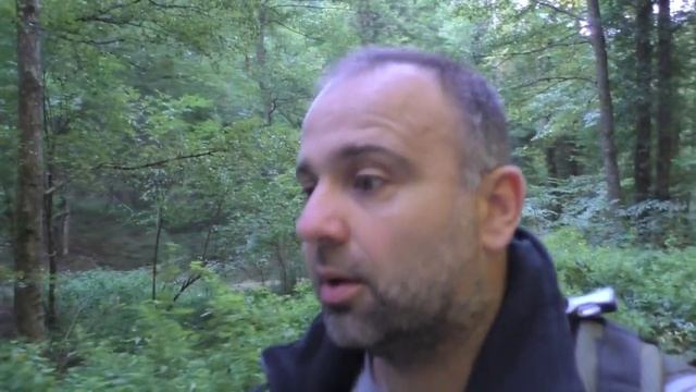 Чем кормить собаку? Часть первая. смотреть онлайн