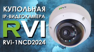 Купольная IP-видеокамера RVi 1NCD2024 : обзор от АйДистрибьют