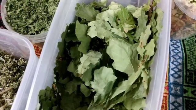 Чем кормить попугаев - заготовки для копошилки смотреть онлайн