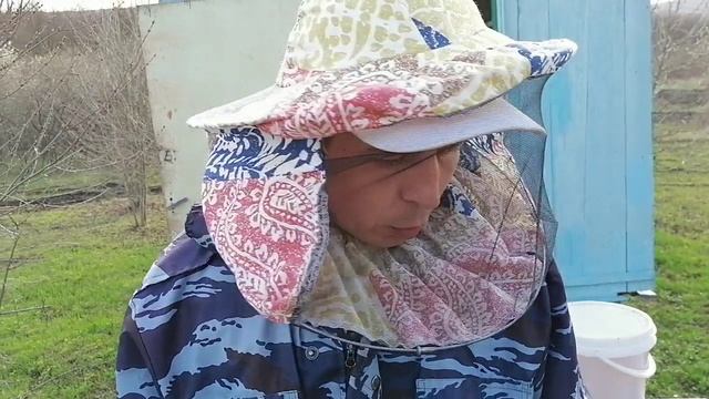 Подсиливание семей ранней весной