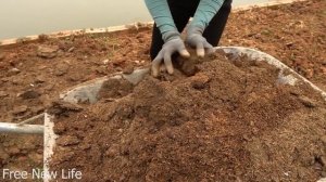 Free new life | 200 Days to build a green farm for 2 girls, Free new life, Free life, New life