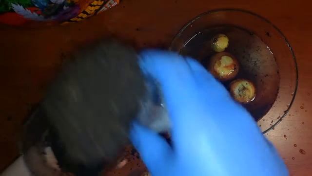 ЛУК НА ПЕРО В БУТЫЛКЕ//ВЫРАЩИВАНИЕ ЗЕЛЁНОГО ЛУКА НА ПОДОКОННИКЕ//НА ЗЕЛЕНЬ//ОГОРОД НА ПОДОКОННИКЕ