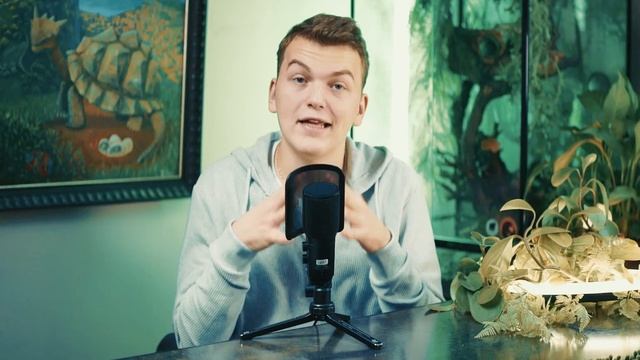 ЛЕТАЮЩИЕ ящерицы? КАК? Летучие драконы. смотреть онлайн