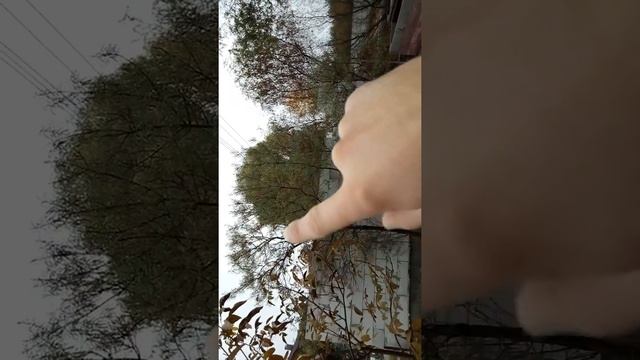 баня с нуля, баня своими руками смотреть онлайн