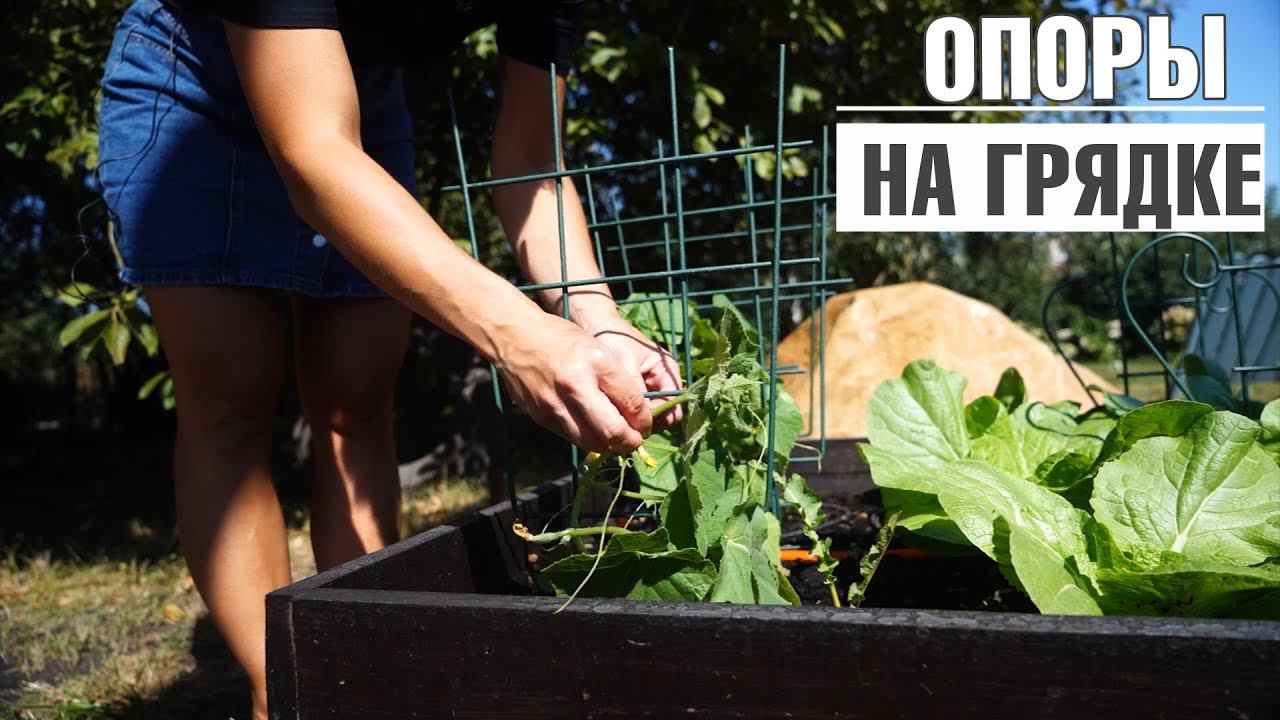 Опоры для садовых растений  Опоры для огурцов   Опора для винограда