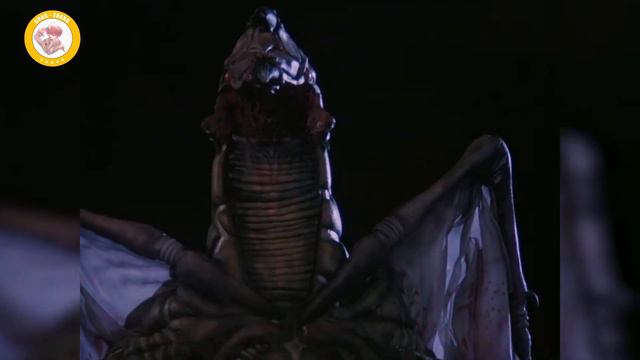 【怪兽志】多拉考：首先 我翅膀没得罪你们任何人 смотреть онлайн