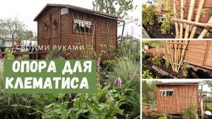Сделать их может каждый! Дешевые и красивые опоры для клематиса