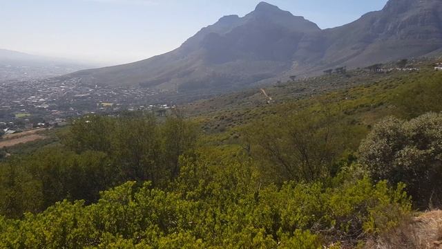 У подножия Столовой горы, Кейптаун, Южная Африка. Table Mountain, Cape Town, South Africa. смотреть онлайн