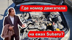 Где расположен номер двигателя у моторов Subaru EJ20, EJ15 и т.п.