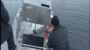 Испытание лодки Windboat-47C на плавучесть№!