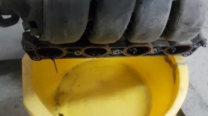 insignia троит,свечи в масле