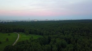 Битцевский лес, 2017.