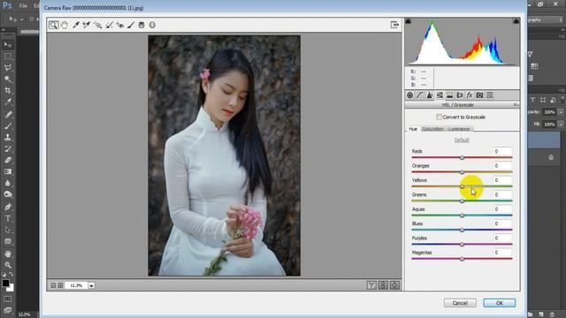 Misty Green Tone | Free Camera Raw Presets for Photoshop CC Tutorial смотреть онлайн