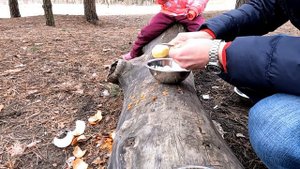 Самый бюджетный нож от Ganzo-голодными не останетесь! (Ganzo 626-RD)