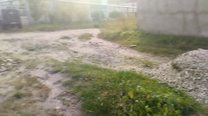 Курловские новости (Владимирская область, Гусь-Хрустальный район).