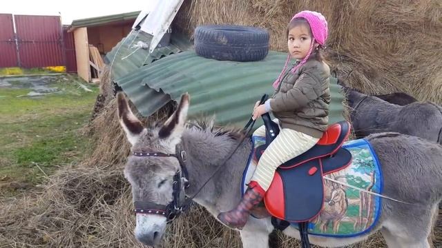 ПАПА И МАМА КАТАЮТСЯ НА ОСЛИКЕ УЕХАЛИ ДОМОЙ...