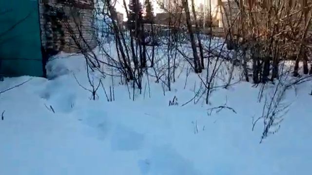 Медресе хафизов в Апастово смотреть онлайн