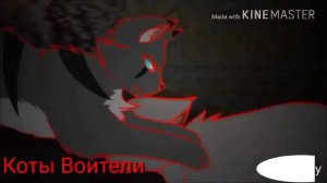 Коты воители - Клип Tuesday