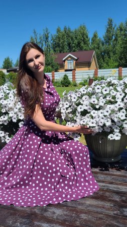 Подкормка петуний для пышного цветения