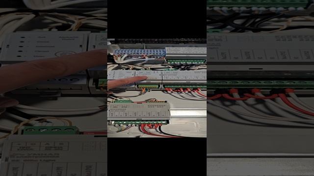 20231009_105000.mp4