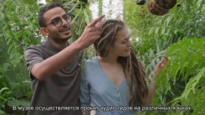 О главном штабе Эрмитажа: где вход в здание на выставку, официальный сайт