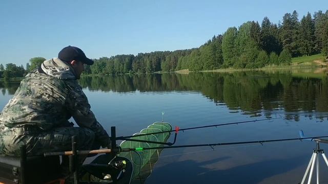 Фидерная рыбалка на озере. Рыбалка с местным котом белым. Рыбалка в Беларуси. смотреть онлайн