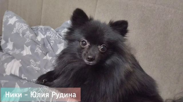 А кто озвучивал героев "Домик для ребят" из серии "Картины" смотреть онлайн