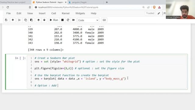 Creating a Stunning Seaborn Bar Plot | Data Visualization Tutorial
