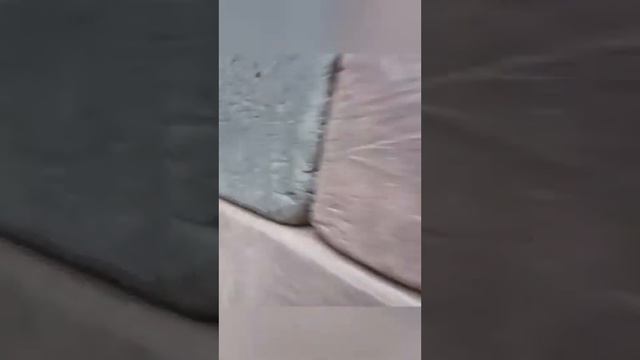 3 июня 2021 г. смотреть онлайн