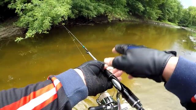 Favorite Team. Как ловить голавля летом. смотреть онлайн