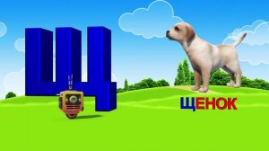 Азбука. Алфавит. Учим Буквы. Буква Щ!