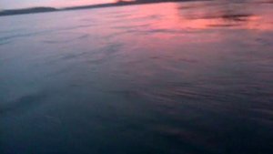 лодочный мотор Sea pro 3 л с