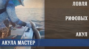 ⚓ Морпех | Рифовые акулы жадно атакуют приманки