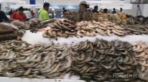 Exploring Dubai #1 Tara!!! Pasukin natin ang Waterfront Fishmarket ng Dubai