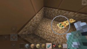 как приручить кота в майнкрафтe