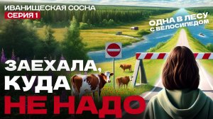 Поехала одна на велосипеде в лес с ночёвкой. Завтрак на берегу Волги. Иванищенская сосна, серия 1.