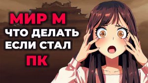 ПК в МИР М | Как отмыть карму в Mir M