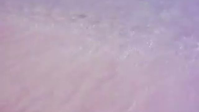 Flamenco Beach смотреть онлайн