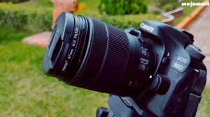 CANON EOS 80D | Short