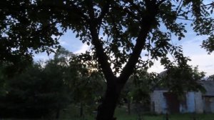 Косим по старинке косой заросли дикорастущих растений