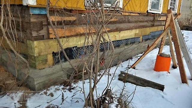 Ремонт деревянного дома: замена гнилых венцов, ремонт фундамента, настил полов по лагам