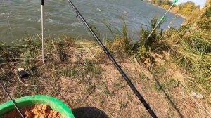 Осенняя рыбалка на фидер, река Иртыш #Рыбалка #Иртыш #Фидер