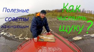 Как чистить щуку? простой способ! полезные советы  для начинающих!