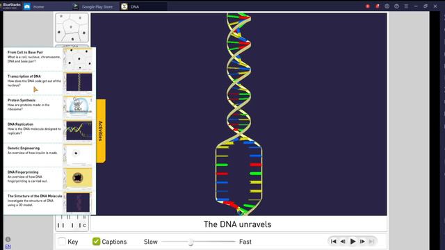 Grade 10 SCIENCE | Quarter 3 Module 4B | Replication, Transcription and Translation смотреть онлайн