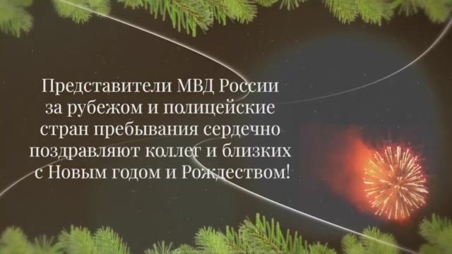 Представители МВД России за рубежом и иностранные полицейские передали новогодние пожелания коллегам