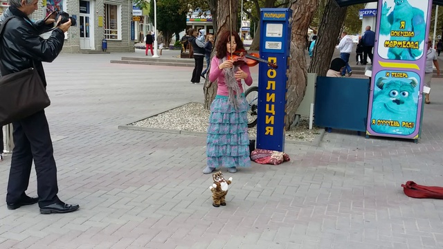 Геленджик. Уличная скрипачка.