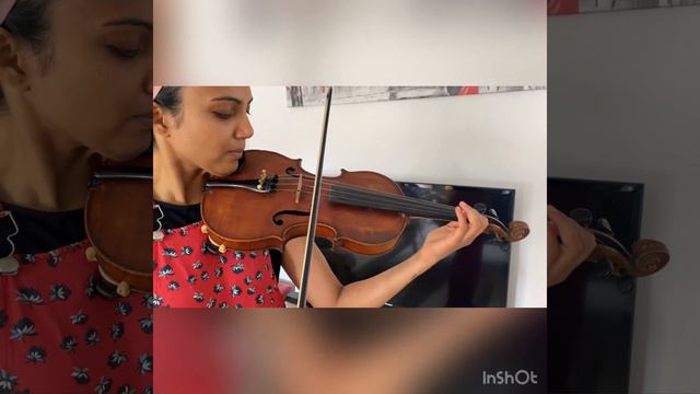 Antique Labelled French Medio Fino Violin 4/4 One Piece Back Sound Sample смотреть онлайн