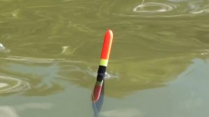 ЗАКИНУЛ УДОЧКУ ПОД КУСТ И ОФИГЕЛ .  РЫБАЛКА!!! Рыбалка на карпа. Ловля карпа на поплавочную удочку