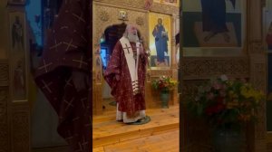 Митрополит Феогност: "Не ври и не завидуй"