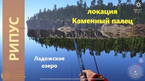 Русская рыбалка 4 - Ладожское озеро - Рипус с длинного мыса